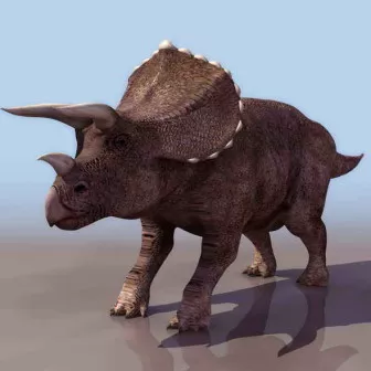 Rhino Animal 3d model Rhino Animal 3d model