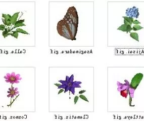 Flowers 3D Model 3d model