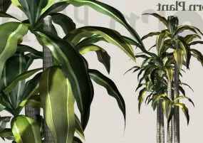 House Indoor Plant 3d model