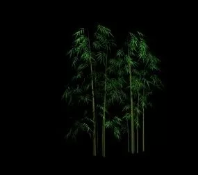 Plant Bamboo 3d model