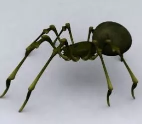 Spider 3d model
