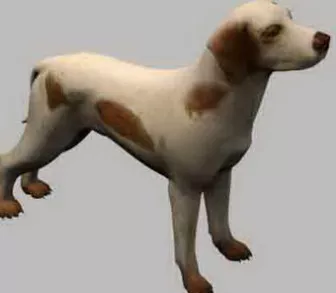 Dog Pet 3d model Dog Pet 3d model