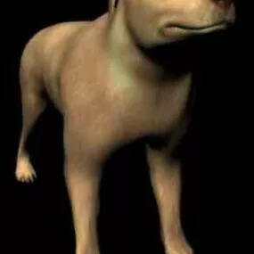 Dog Pedigree 3d model