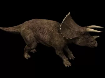 Triceratops Dinosaur 3d model Triceratops Dinosaur 3d model