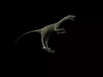 Animal Dinosaur 3d model Animal Dinosaur 3d model
