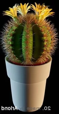 The Potted Plants Cactus 3d model The Potted Plants Cactus 3d model