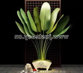 Potted Plants Canna Tree 3d model