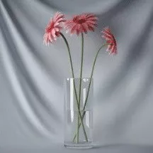 Plant Bonsai Red Flowers 3d model