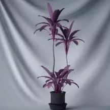 Plant Bonsai Purple Flowers 3d model