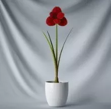 Bonsai Small Flower 3d model
