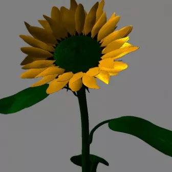 Sunflower 3d model Sunflower 3d model