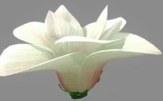 Magnolia Plant 3d model Magnolia Plant 3d model