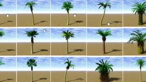 Garden Landscape Tree Plant 3d model