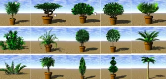 Garden Tree Plant 3d model Garden Tree Plant 3d model