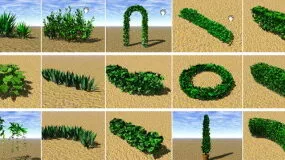 Garden Bush 3d model