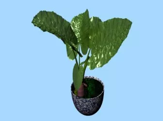 Japanese Bonsai Tree 3d model