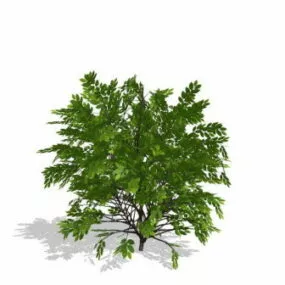 Xfrog Series Of 3ds Format With Textures-2 3d model