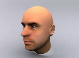 Man Head Gerard Lanvin 3d model