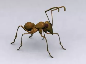 Lowpoly Black Ant 3d model