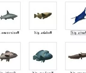 6 Fish Set 3d model