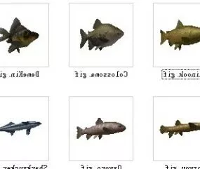 28 Fish Set 3d model