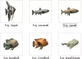 30 Fish Set 3d model 30 Fish Set 3d model