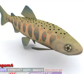 11 Fish Set 3d model