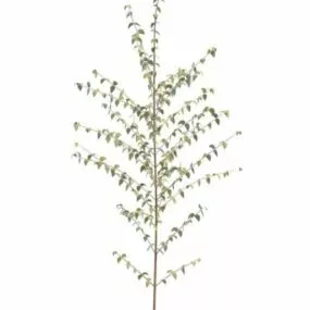 Small Spring Tree 3d model