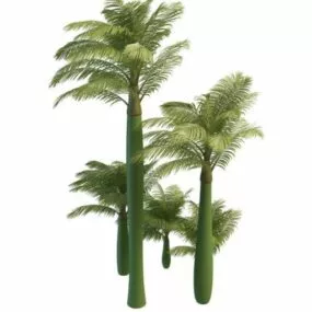 King Alexander Palm Trees 3d model
