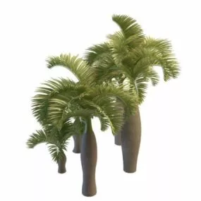 Palmyra Palm Trees 3d model