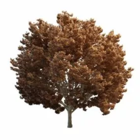 Late Autumn Tree 3d model
