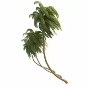 Coconut Palm Trees 3d model