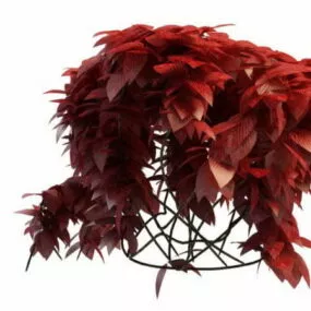 Red Leaf Maple 3d model