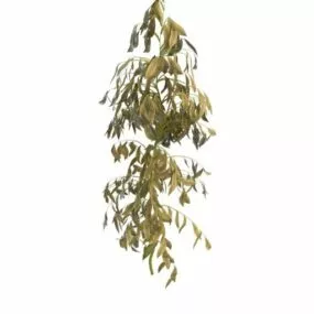 Withered Plant 3d model