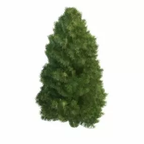 Leyland Cypress Tree 3d model
