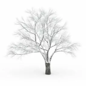 Snow Bare Tree 3d model