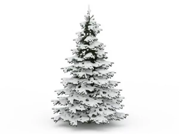 Snowy Pine Tree 3d model Snowy Pine Tree 3d model