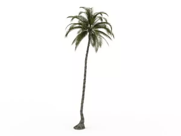 Lowpoly Palm Trees On Beach 3d model