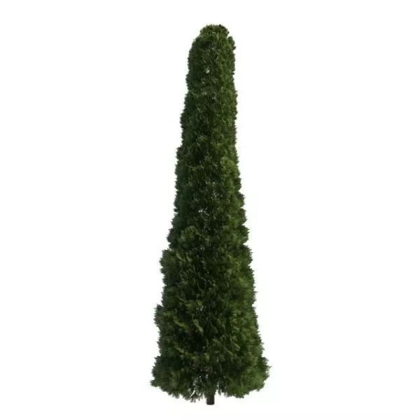 Thuja Arborvitae Tree 3d model Thuja Arborvitae Tree 3d model