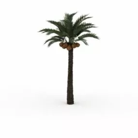 Date Palm Tree 3d model
