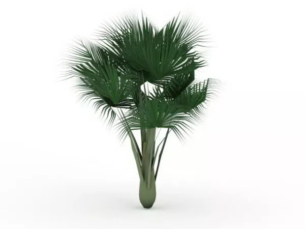 Palm Tree With Forest River 3d model