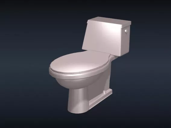 Cantilever Toilet Lavatory With Wooden Cap 3d model