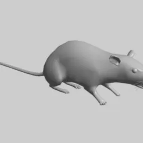 Field Mouse 3d model