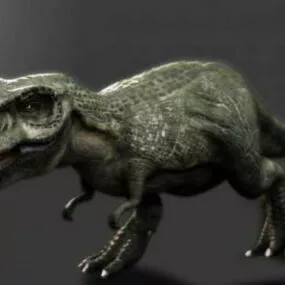 Gorgosaurus Dinosaur 3d model