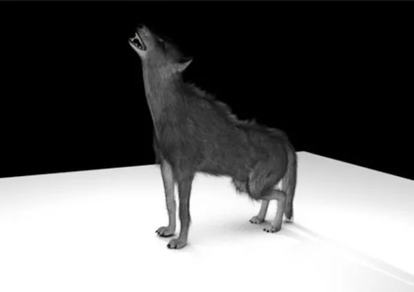 Frostwolf Mount Wolf 3d model