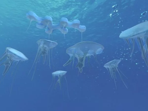 Coral Reef Scene 3d model
