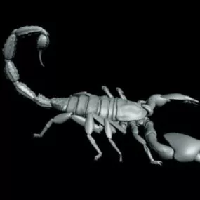 Black Scorpion 3d model