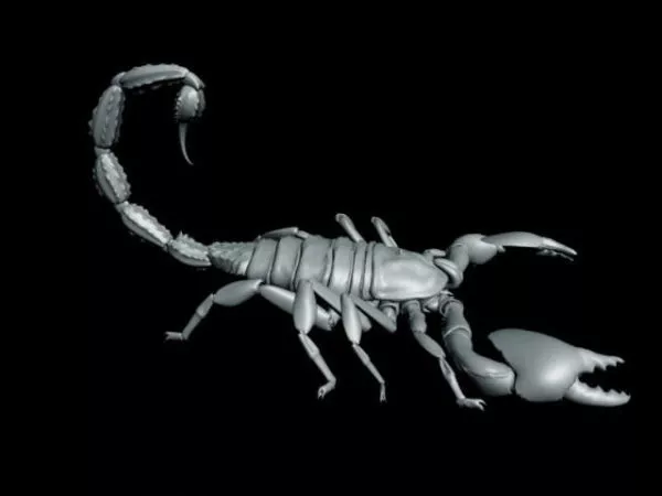 Black Scorpion Monster 3d model