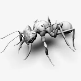 Cartoon Ant 3d model