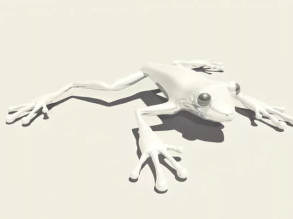 Tree Frog 3d model Tree Frog 3d model